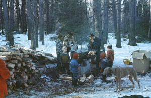 First sugarbush 1963
